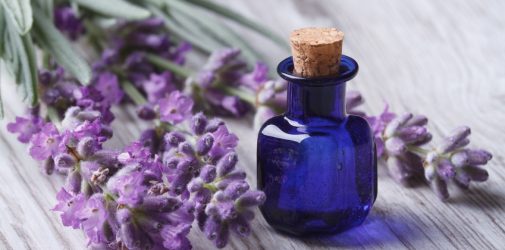 Rośliny i zioła w naturalnej pielęgnacji