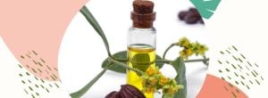 Olejek jojoba – zastosowanie w pielęgnacji skóry i włosów