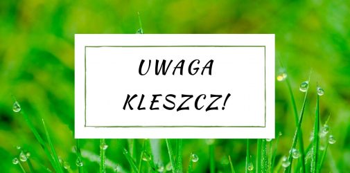 Pielęgnacja ciała - naturalnie