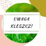 Pielęgnacja ciała - naturalnie