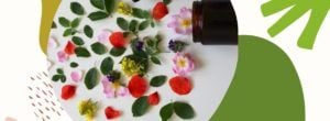 Kosmetyki naturalne – fakty i mity, które musisz znać (żeby się nie nabrać)
