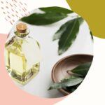 Rośliny i zioła w naturalnej pielęgnacji