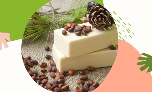 Rośliny i zioła w naturalnej pielęgnacji