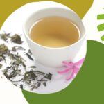 Rośliny i zioła w naturalnej pielęgnacji