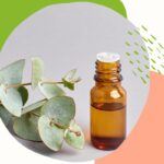 Rośliny i zioła w naturalnej pielęgnacji