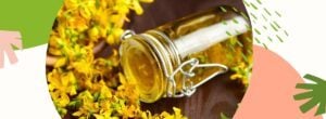 Olej z dziurawca na twarz i włosy – sprawdź jakie ma właściwości