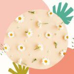 Rośliny i zioła w naturalnej pielęgnacji