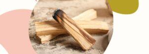 Palo santo – właściwości, zastosowanie i sposób użycia