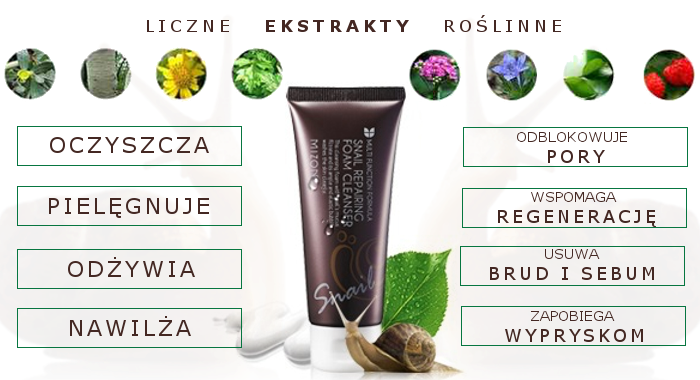 Snail Repairing Foam Cleanser Snail Repairing Foam Cleanser